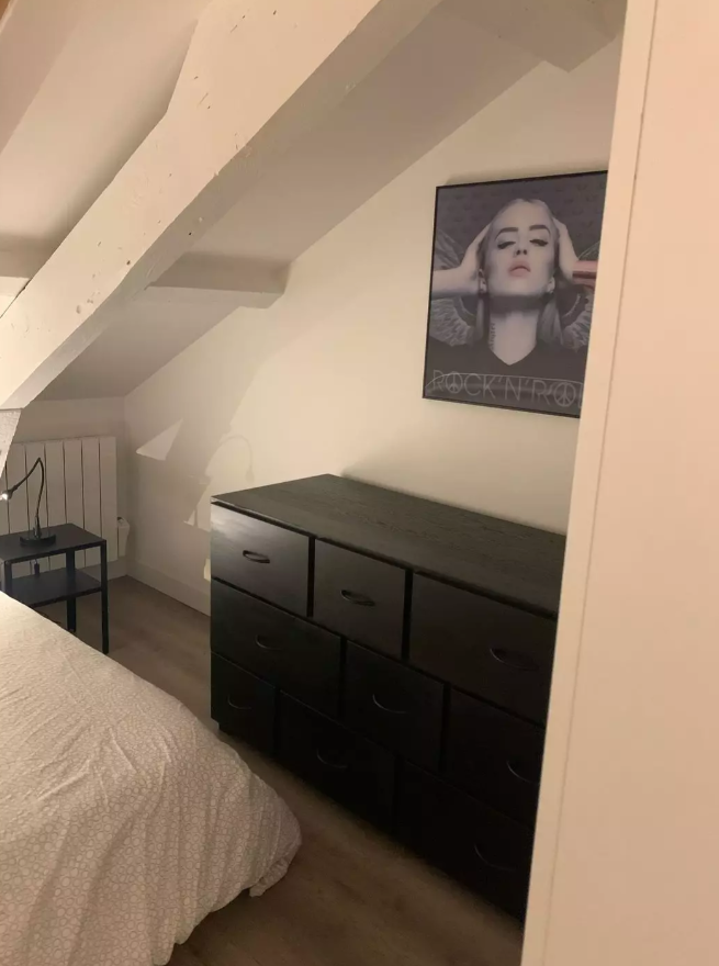 Appartement, meublé, 2 pièces, 33m² à Pithiviers (45300) — photo 4