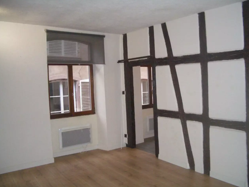 Appartement, non meublé, 2 pièces, 57m² à Strasbourg (67000) — photo principale