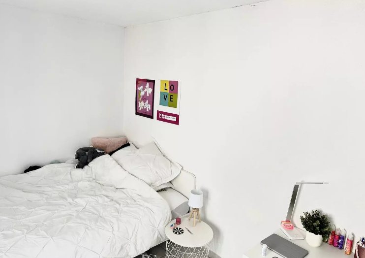 Appartement, meublé, 1 pièce, 22m² à Lyon (69007) — photo principale