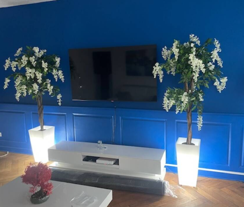 Appartement, meublé, 2 pièces, 35m² à Strasbourg (67000) — photo 2