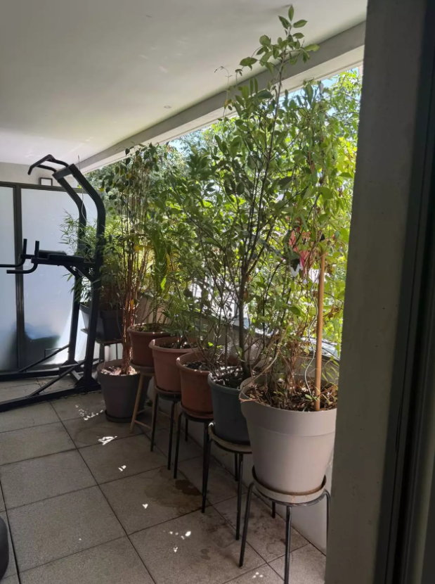 Appartement, meublé, 3 pièces, 67m² à Lyon (69008) — photo principale