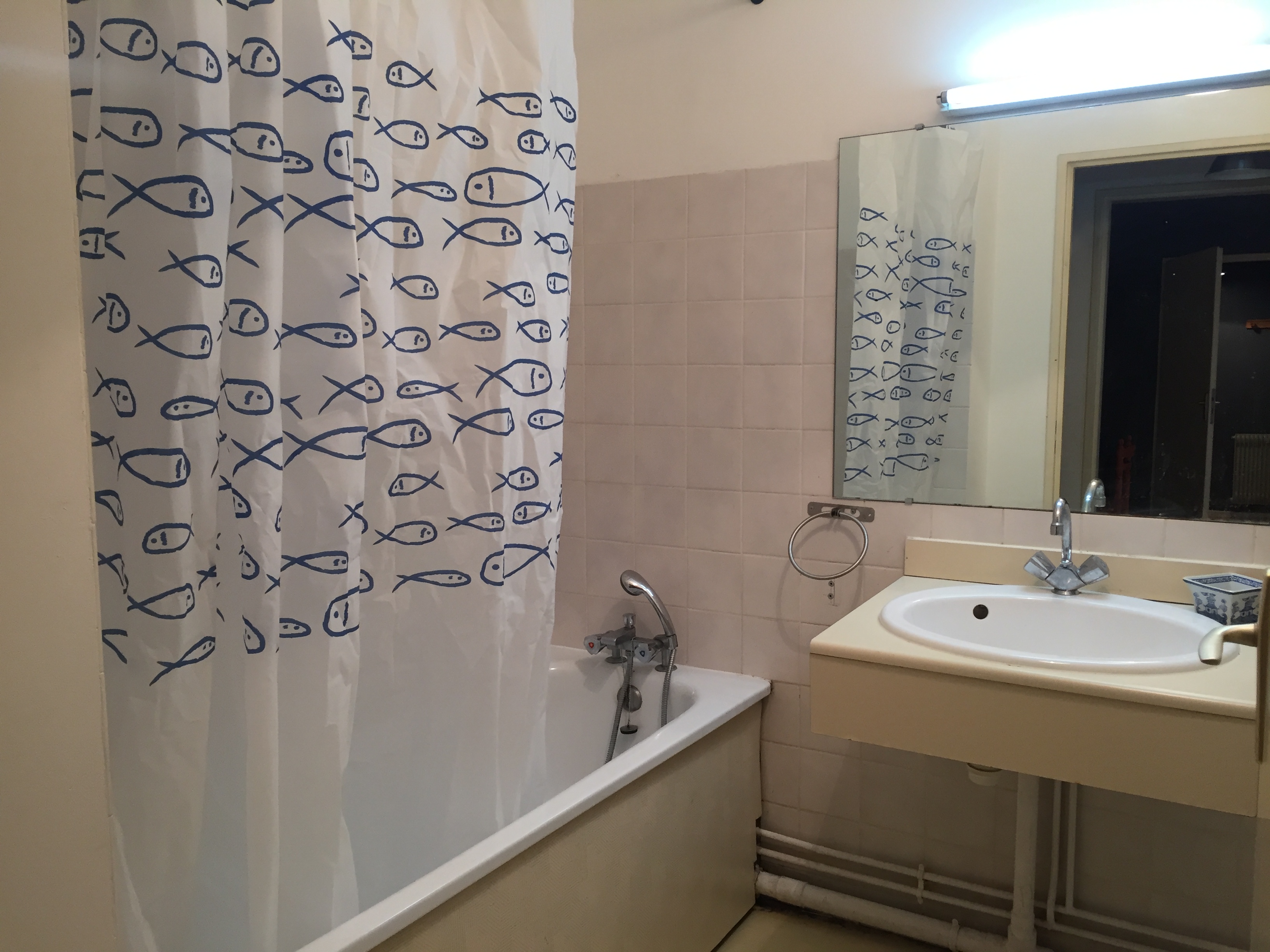 Appartement, meublé, 2 pièces, 47m² à Toulouse (31500) — photo 5