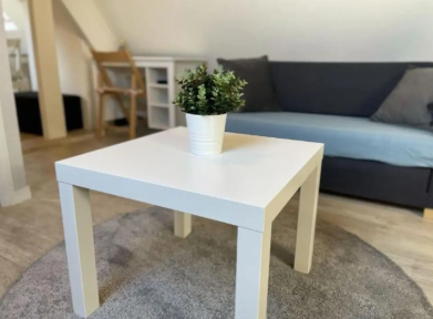 Appartement, meublé, 1 pièce, 32m² à Blois (41000) — photo 4