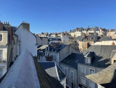 Appartement, meublé, 1 pièce, 32m² à Blois (41000) — photo principale