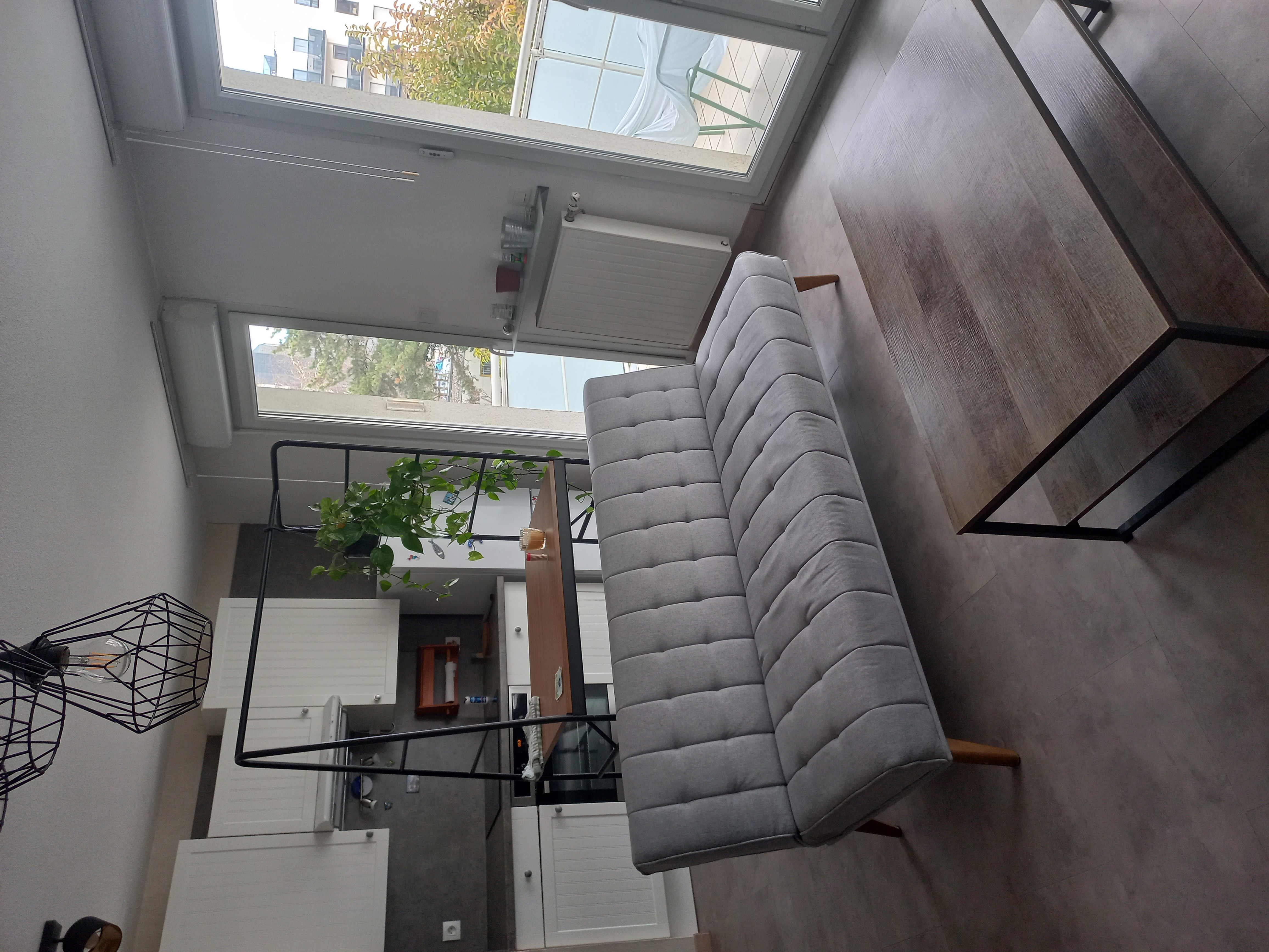 Appartement, meublé, 2 pièces, 56m² à Grenoble (38100) — photo principale
