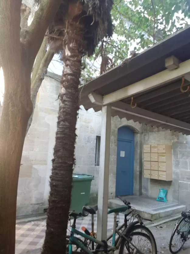 Appartement, meublé, 1 pièce, 19m² à Bordeaux (33000) — photo 5