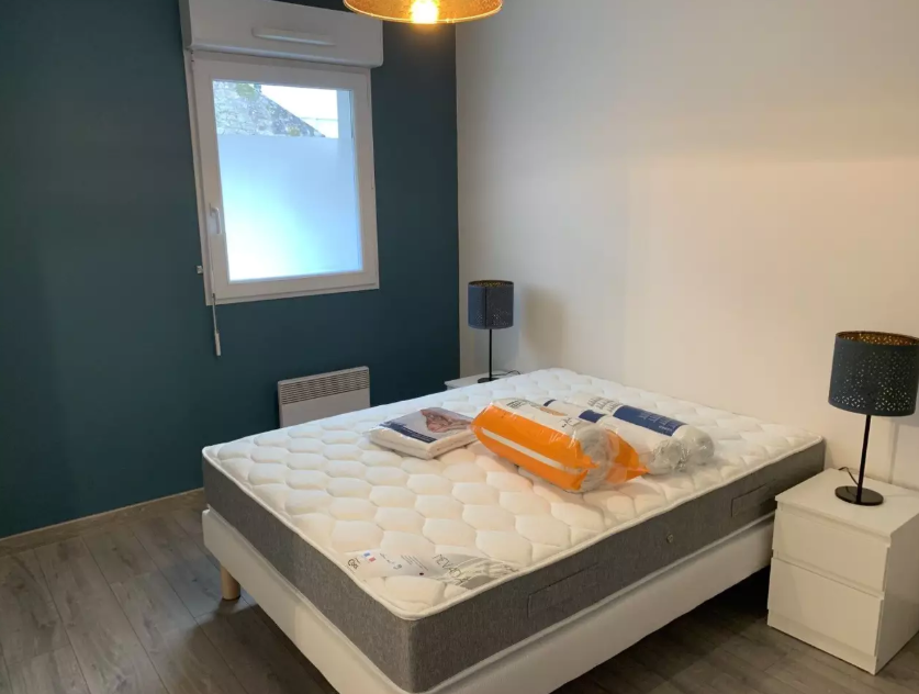Appartement, meublé, 2 pièces, 48m² à Nantes (44000) — photo 3