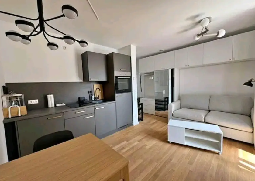 Appartement, meublé, 1 pièce, 24m² à Nancy (54000) — photo 2