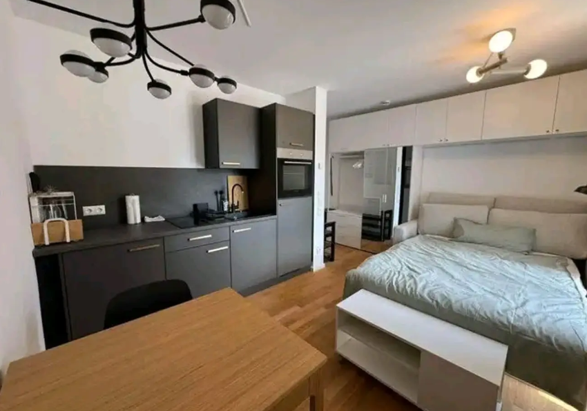 Appartement, meublé, 1 pièce, 24m² à Nancy (54000) — photo principale