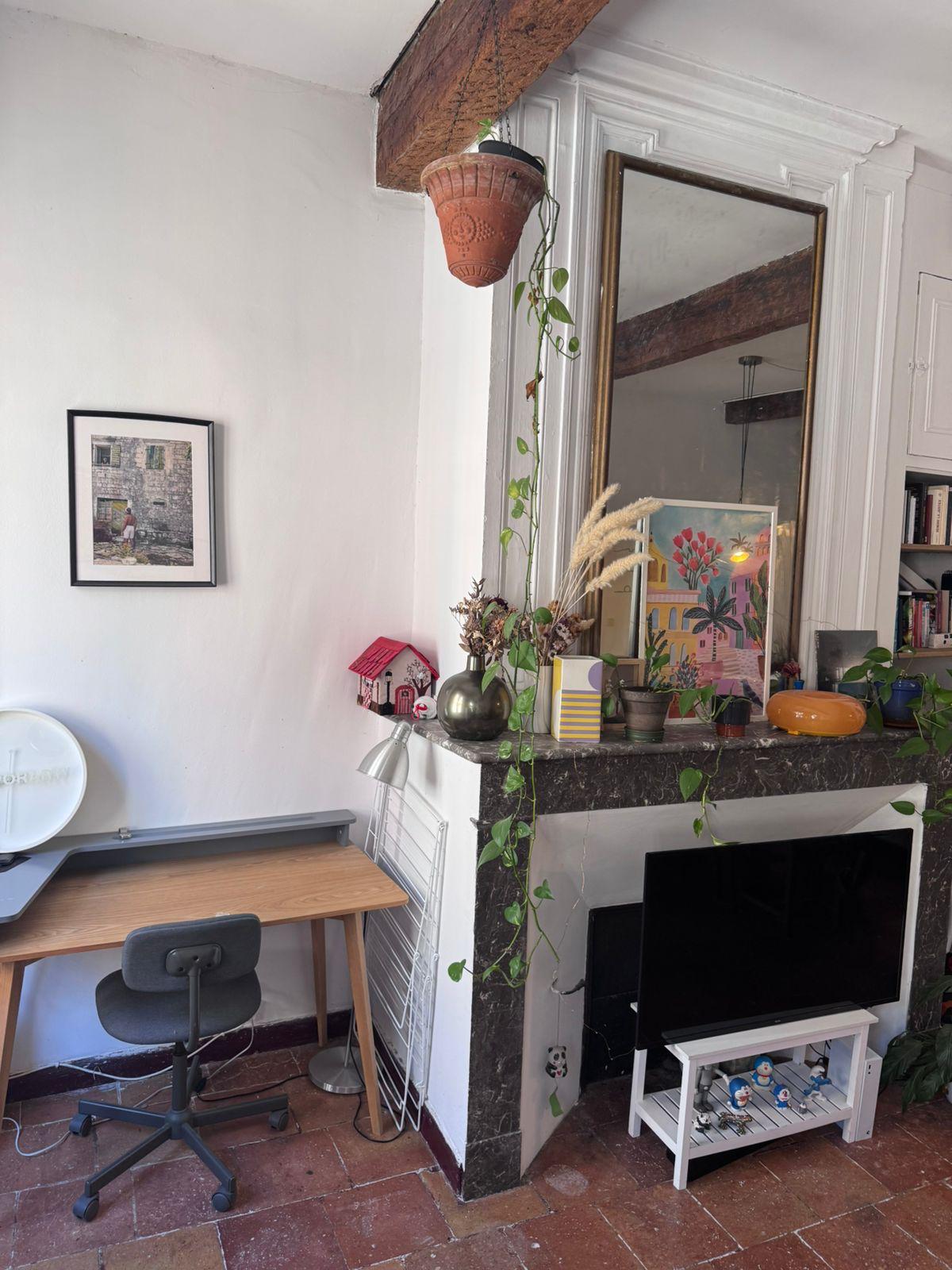 Appartement, meublé, 2 pièces, 56m² à Toulouse (31000) — photo 5