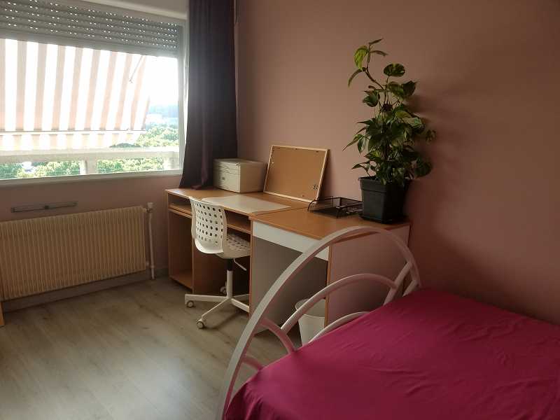 Chambre, meublé, 4 pièces, 94m² à Villeurbanne (69100) — photo 2