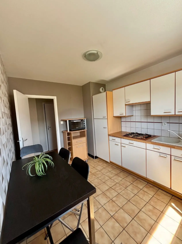 Appartement, meublé, 2 pièces, 47m² à Nancy (54000) — photo 5