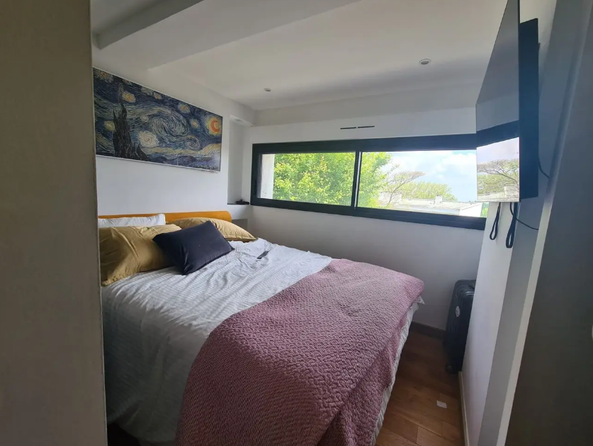 Appartement, meublé, 1 pièce, 30m² à Ramonville-Saint-Agne (31520) — photo 3