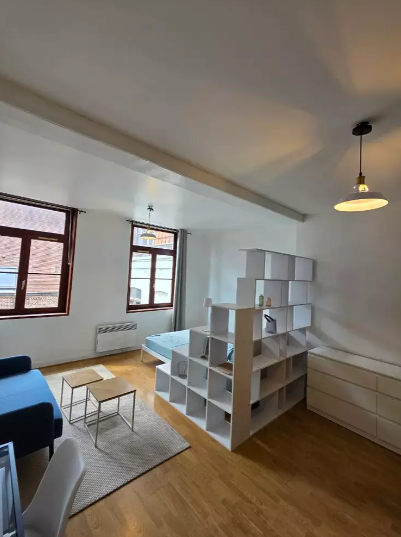 Appartement, meublé, 1 pièce, 30m² à Lille (59000) — photo principale