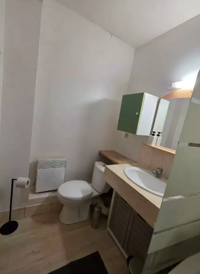 Appartement, meublé, 1 pièce, 30m² à Lille (59000) — photo 5