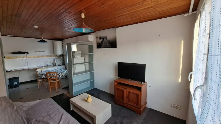 Appartement, meublé, 2 pièces, 35m² à Saint-Didier-de-la-Tour (38110) — photo principale