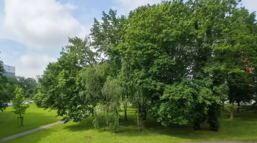 Appartement, meublé, 2 pièces, 51m² à Wattignies (59139) — photo principale