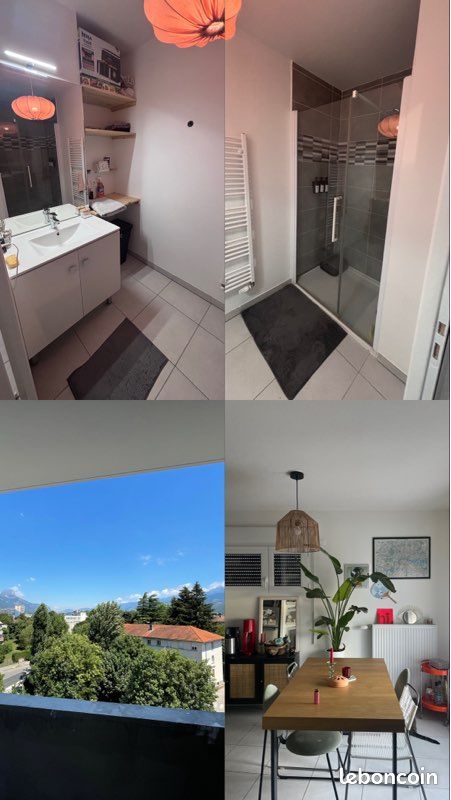 Appartement, meublé, 2 pièces, 48m² à Grenoble (38100) — photo 4