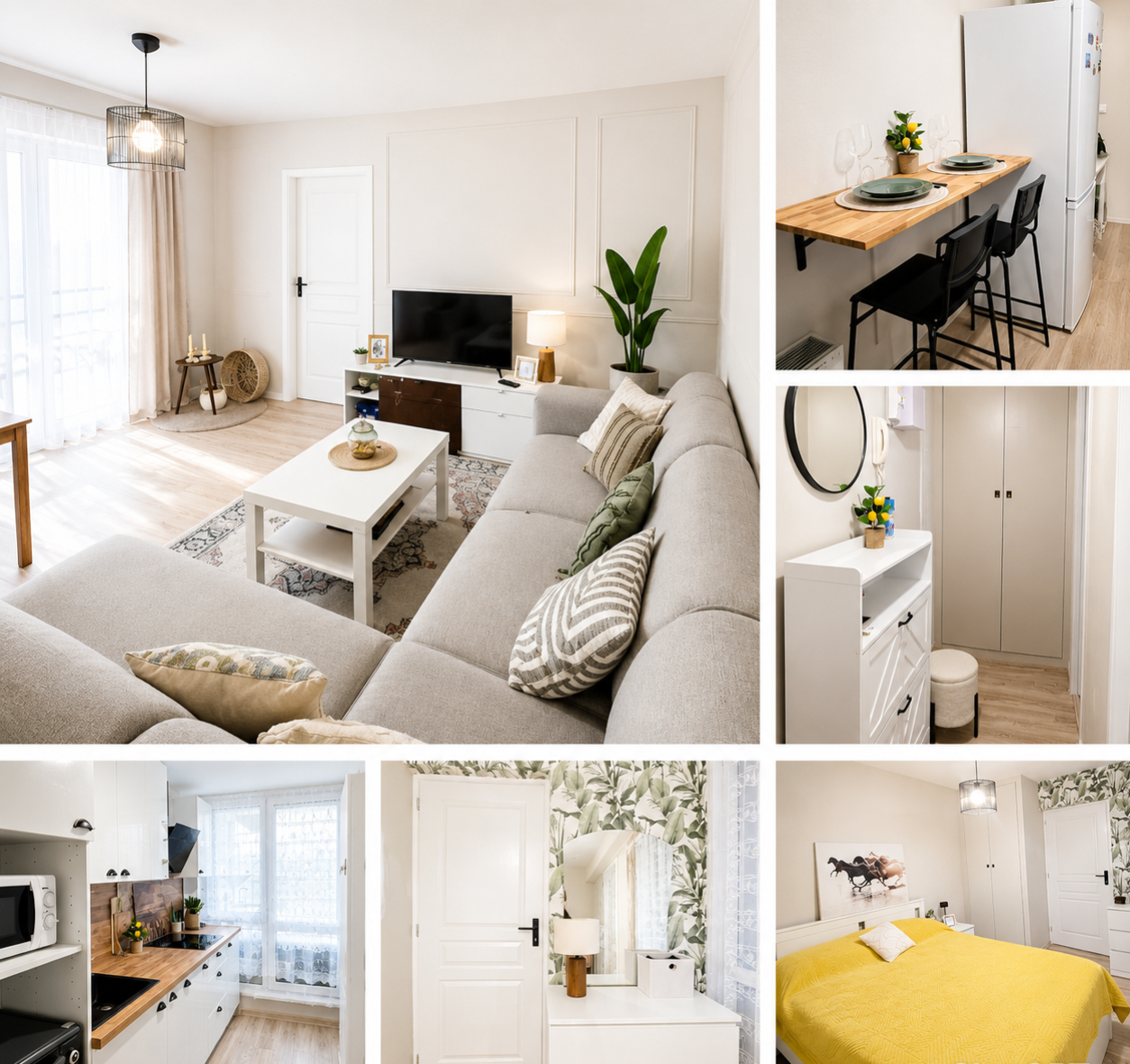 Appartement, meublé, 2 pièces, 50m² à Nancy (54000) — photo principale