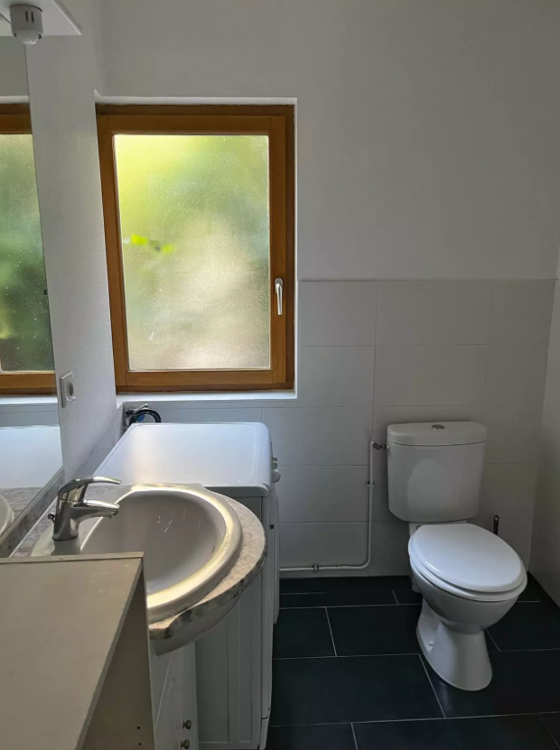 Appartement, meublé, 3 pièces, 50m² à Nancy (54000) — photo 4