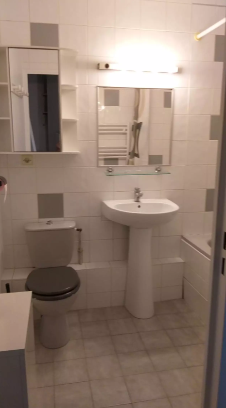 Appartement, meublé, 1 pièce, 30m² à Lyon (69007) — photo 3
