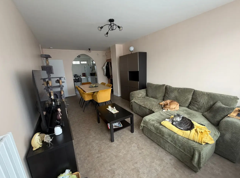 Appartement, meublé, 3 pièces, 60m² à Lys-lez-Lannoy (59390) — photo principale