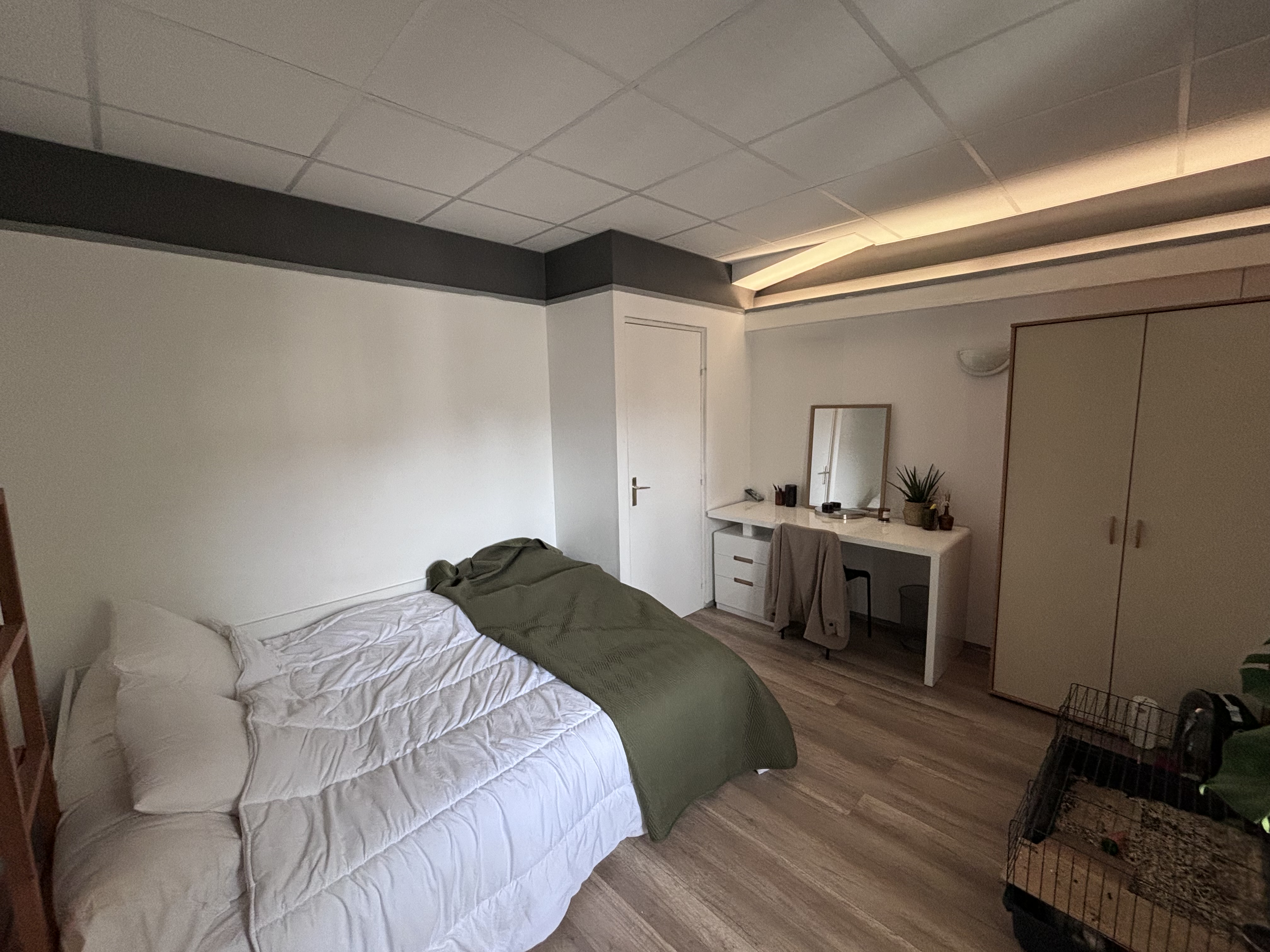 Appartement, meublé, 2 pièces, 24m² à Saint-Étienne (42000) — photo 2
