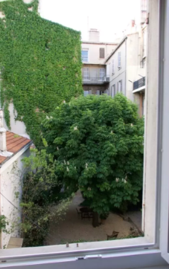 Appartement, meublé, 2 pièces, 27m² à Marseille (13006) — photo principale