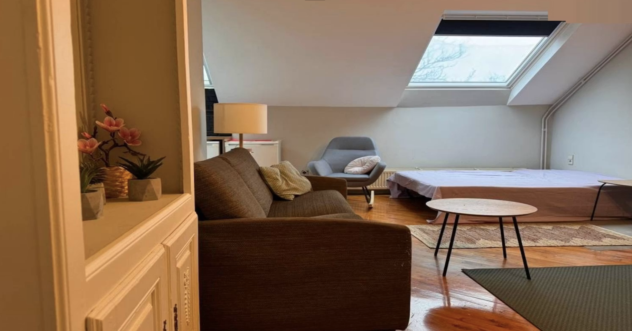 Appartement, meublé, 1 pièce, 29m² à Bordeaux (33000) — photo principale
