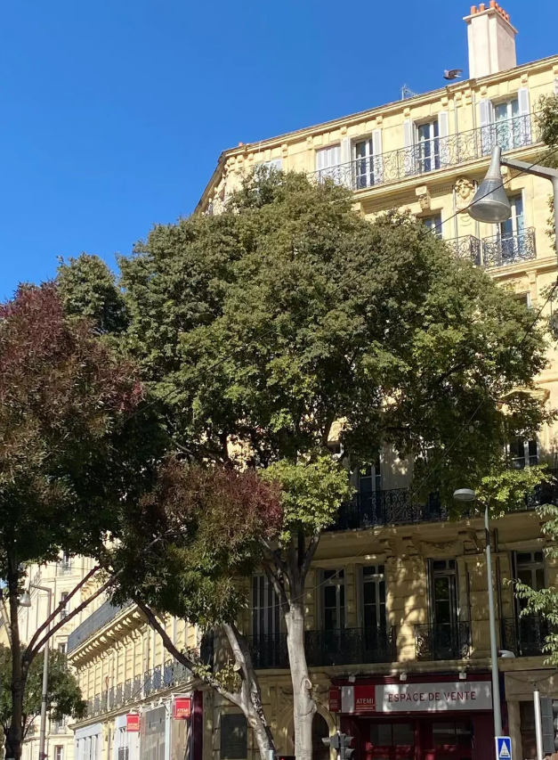 Appartement, meublé, 2 pièces à Marseille (13012) — photo principale