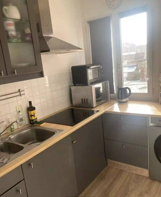 Appartement, meublé, 2 pièces, 48m² à Lille (59000) — photo 4