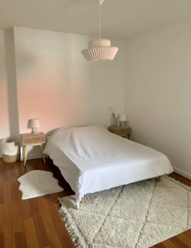 Appartement, meublé, 1 pièce, 47m² à Bordeaux (33300) — photo 3
