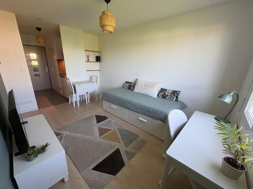 Appartement, meublé, 1 pièce, 20m² à Bordeaux (33000) — photo principale