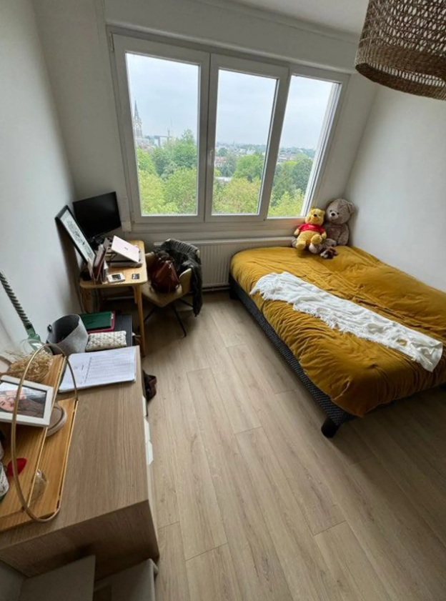 Appartement, meublé, 3 pièces, 76m² à Lambersart (59130) — photo 3