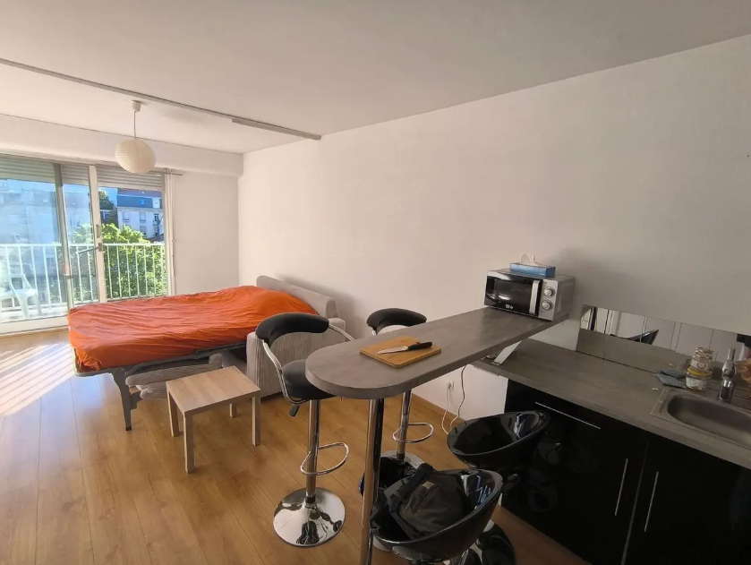 Appartement, meublé, 1 pièce, 29m² à Nancy (54000) — photo 3