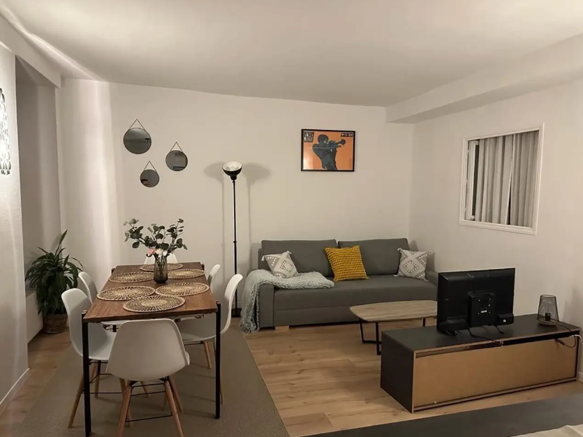 Appartement, meublé, 3 pièces, 57m² à Vienne (38200) — photo 3