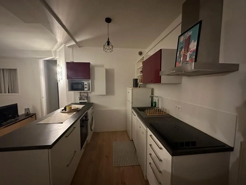 Appartement, meublé, 3 pièces, 57m² à Vienne (38200) — photo 2