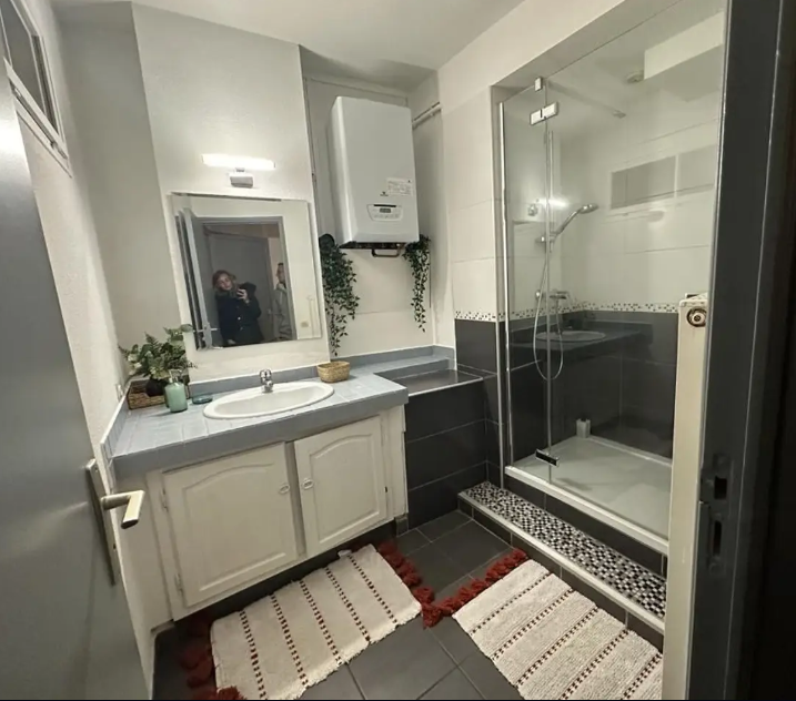 Appartement, meublé, 3 pièces, 57m² à Vienne (38200) — photo 5
