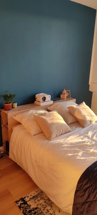 Appartement, meublé, 3 pièces, 60m² à Oullins-Pierre-Bénite (69310) — photo principale