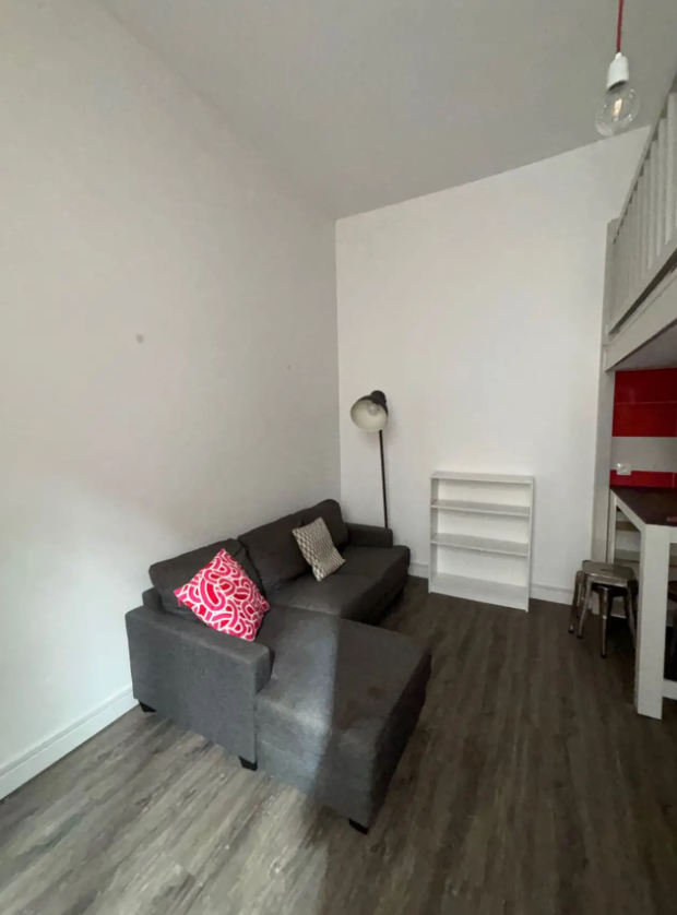 Appartement, meublé, 1 pièce, 26m² à Nantes (44000) — photo principale