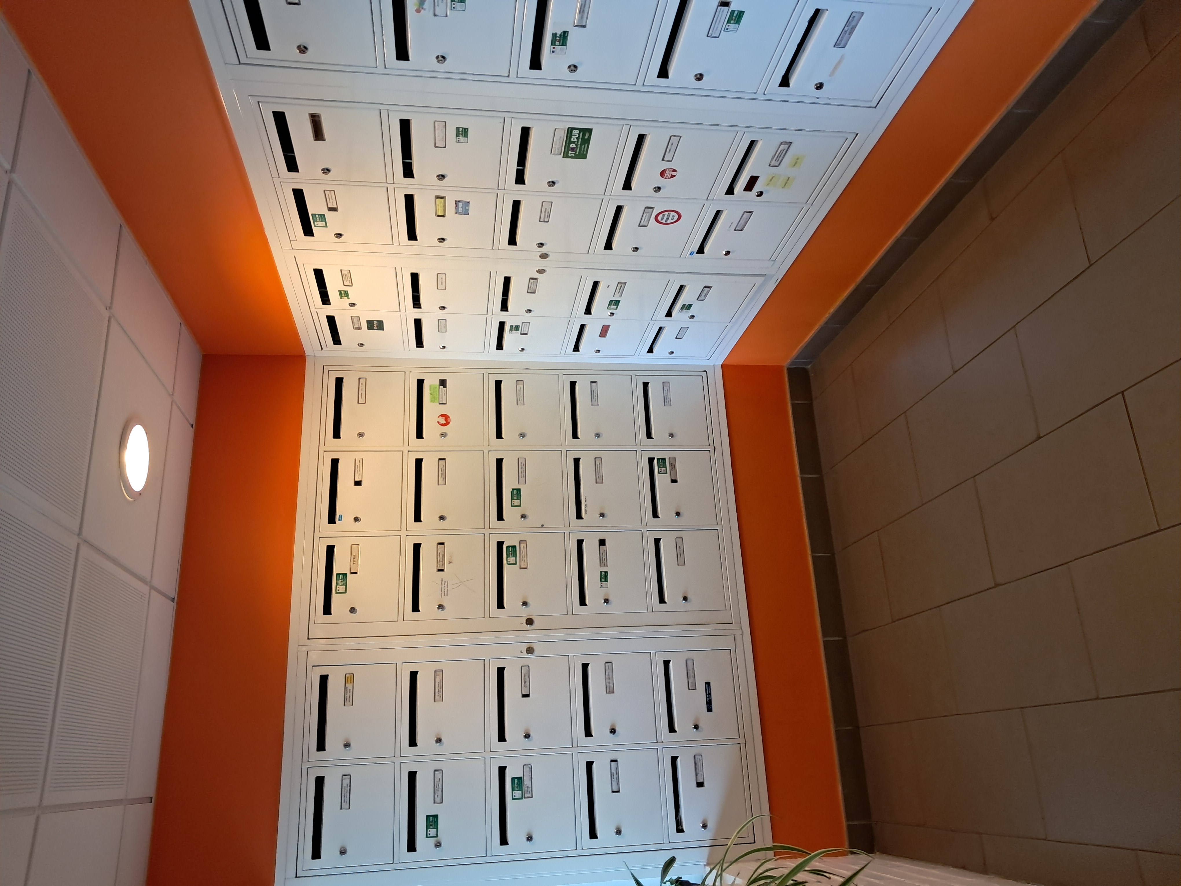 Appartement, meublé, 2 pièces, 46m² à Le Mans (72100) — photo 4