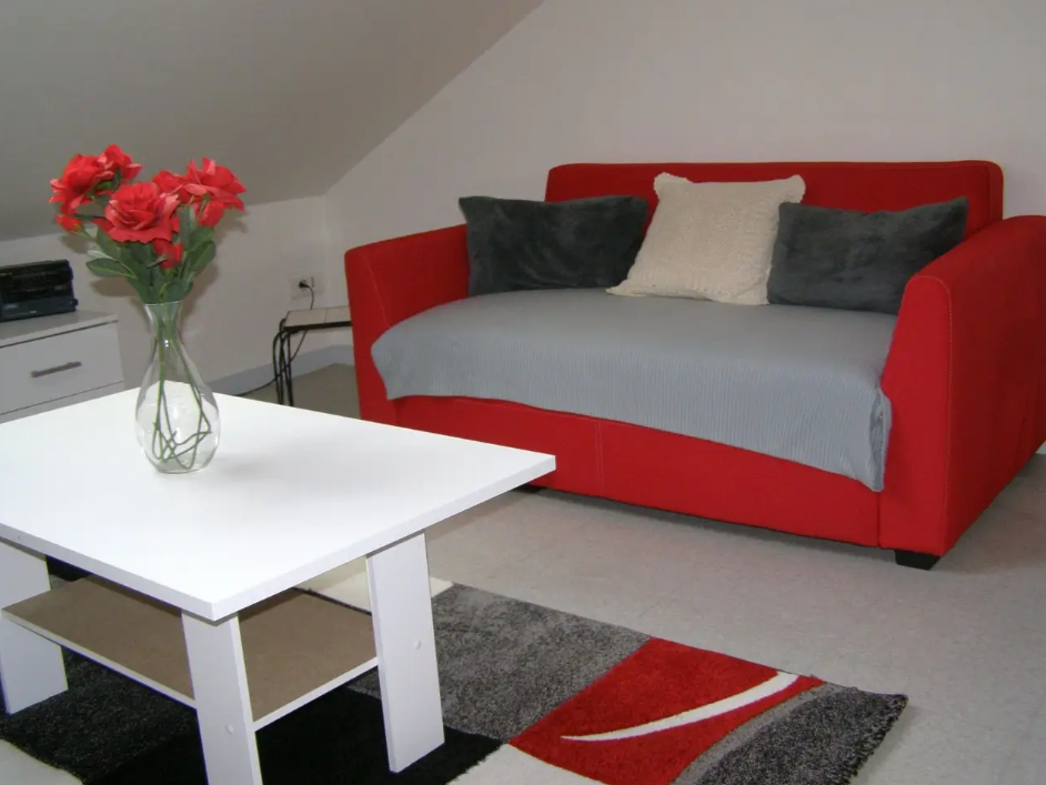 Appartement, meublé, 1 pièce, 20m² à Amiens (80090) — photo 4