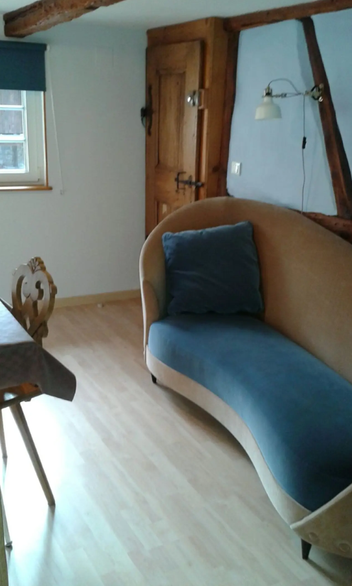 Appartement, meublé, 1 pièce, 25m² à La Wantzenau (67610) — photo principale