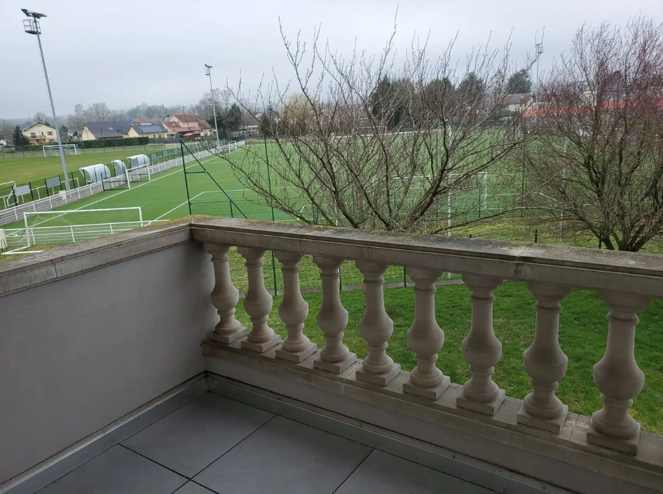 Appartement, non meublé, 1 pièce, 44m² à Sarralbe (57430) — photo principale