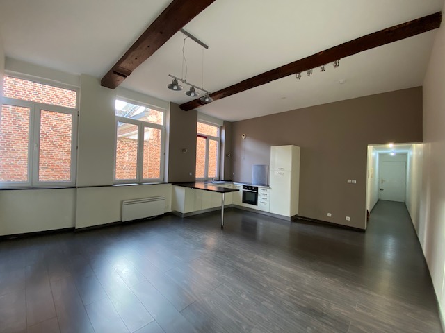 Appartement, non meublé, 2 pièces, 55m² à Lille (59800) — photo principale