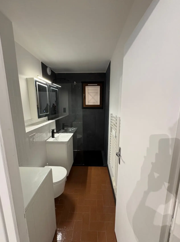 Appartement, meublé, 1 pièce, 30m² à Toulouse (31500) — photo 3