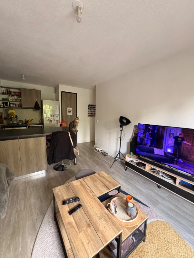 Appartement, non meublé, 3 pièces, 52m² à Pau (64000) — photo 4