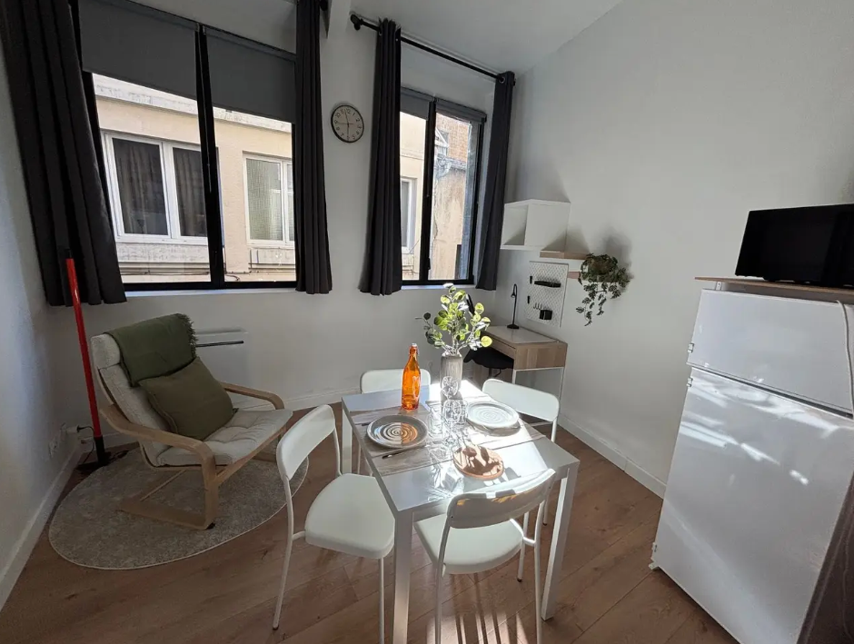 Appartement, meublé, 1 pièce, 27m² à Nancy (54000) — photo 2