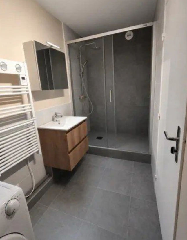 Appartement, meublé, 2 pièces, 55m² à Nancy (54000) — photo 4