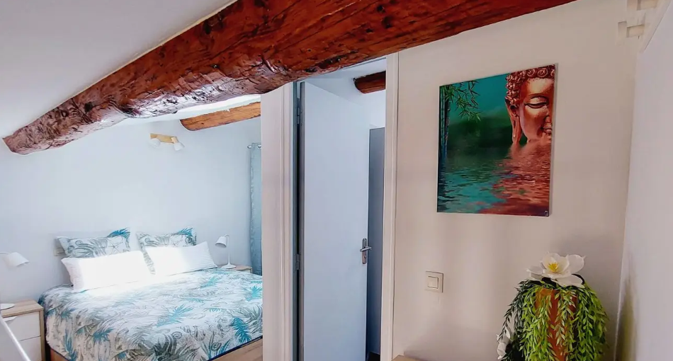 Appartement, meublé, 1 pièce, 42m² à Nîmes (30900) — photo 3